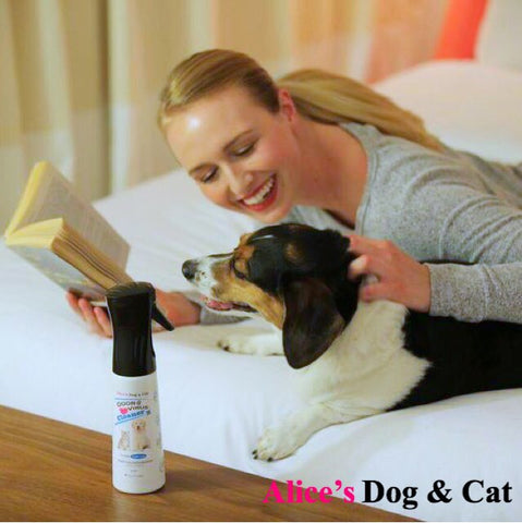 Alice's Dog & Cat Veterinarian Column About pets and the new coronavirus Alice's Deodorant Disinfectant Spray