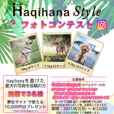 Hakihana Photo Contest Alice's Dog & Cat