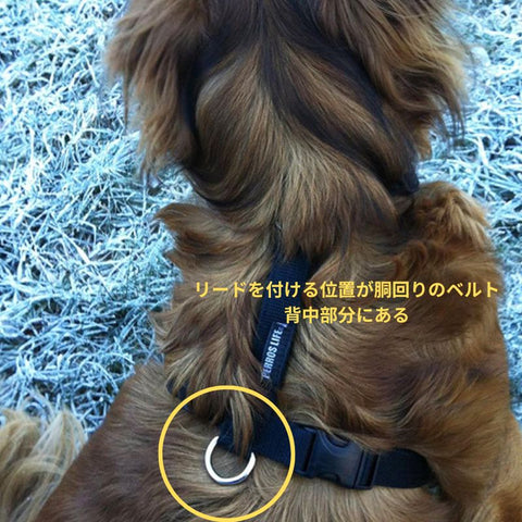 Perlos Harness - Position where the leash is attached to prevent it from coming off