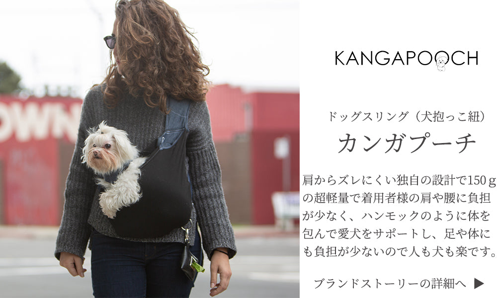 dog sling kangapooch