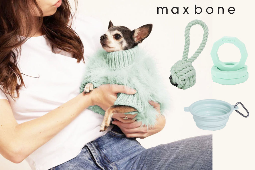 Max Born Dog Supplies Mint Color