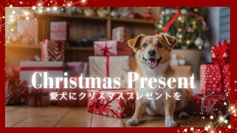 犬猫　クリスマスプレゼント