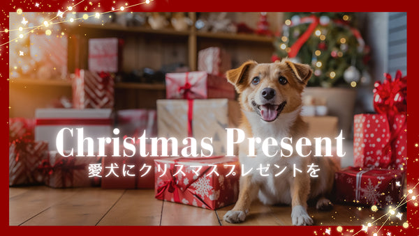 犬猫用 クリスマスプレゼント