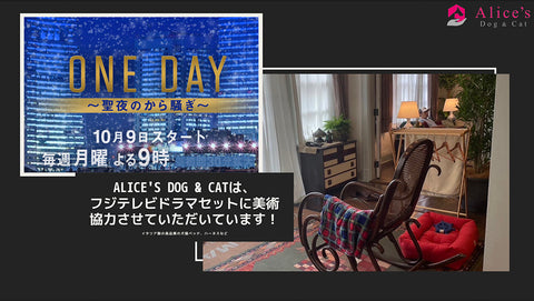 alicesdogcat ドラマに使用