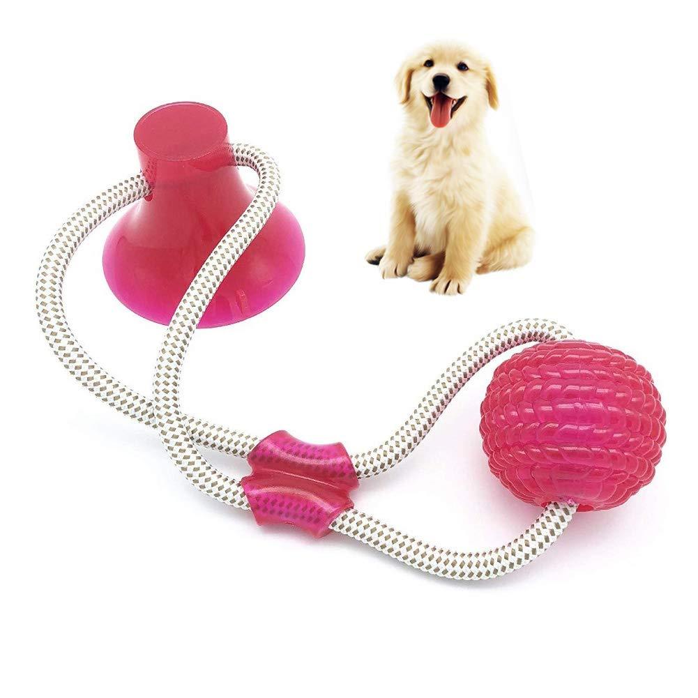 dog toy that sticks to floor