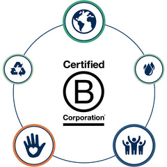 B Corp Inforgraphic