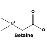 BETAINE - Triumph & Disaster