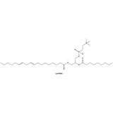 LECITHIN - Triumph & Disaster