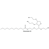 POLYSORBATE 20 - Triumph & Disaster