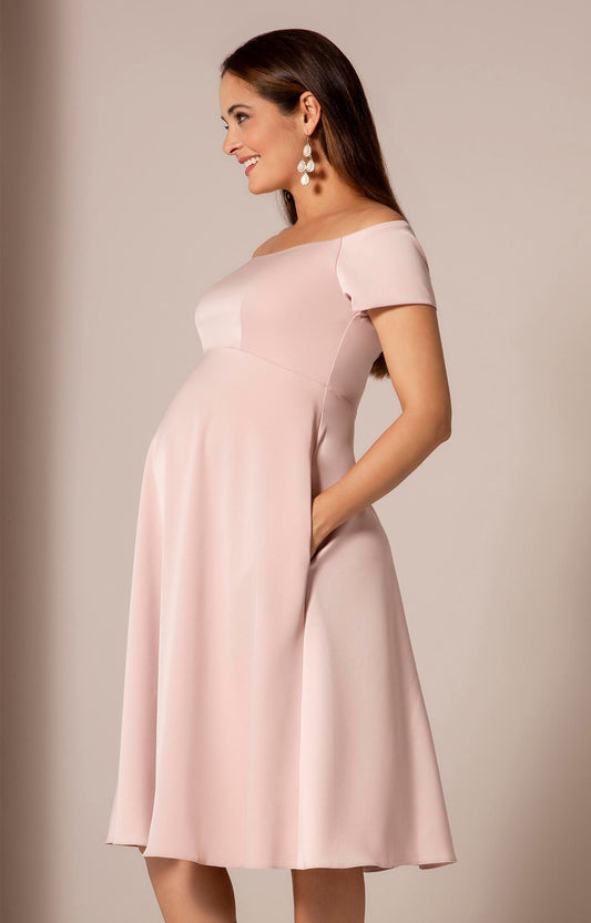 Best Price on Tiffany Rose Maternity & Nursing Dress Bardot