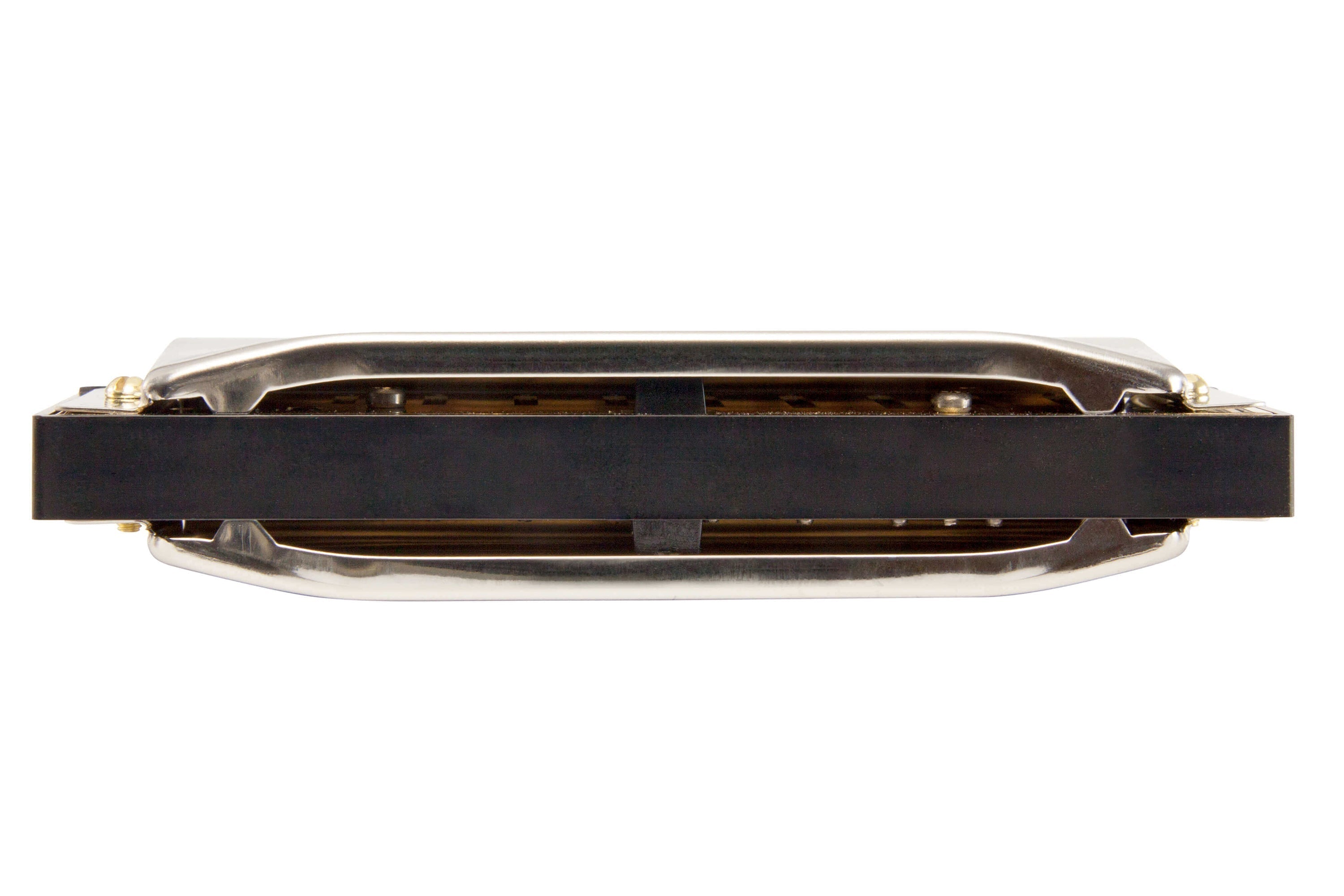 Hohner Special 20 Harmonica - Terry Carter Music Store