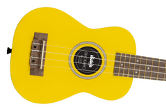 Best Ukuleles Under $100 - Terry Carter Music Store