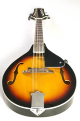 Stagg M20 Bluegrass Mandolin