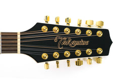 12 String Guitar Battle: Takamine GD37CE-12 PW