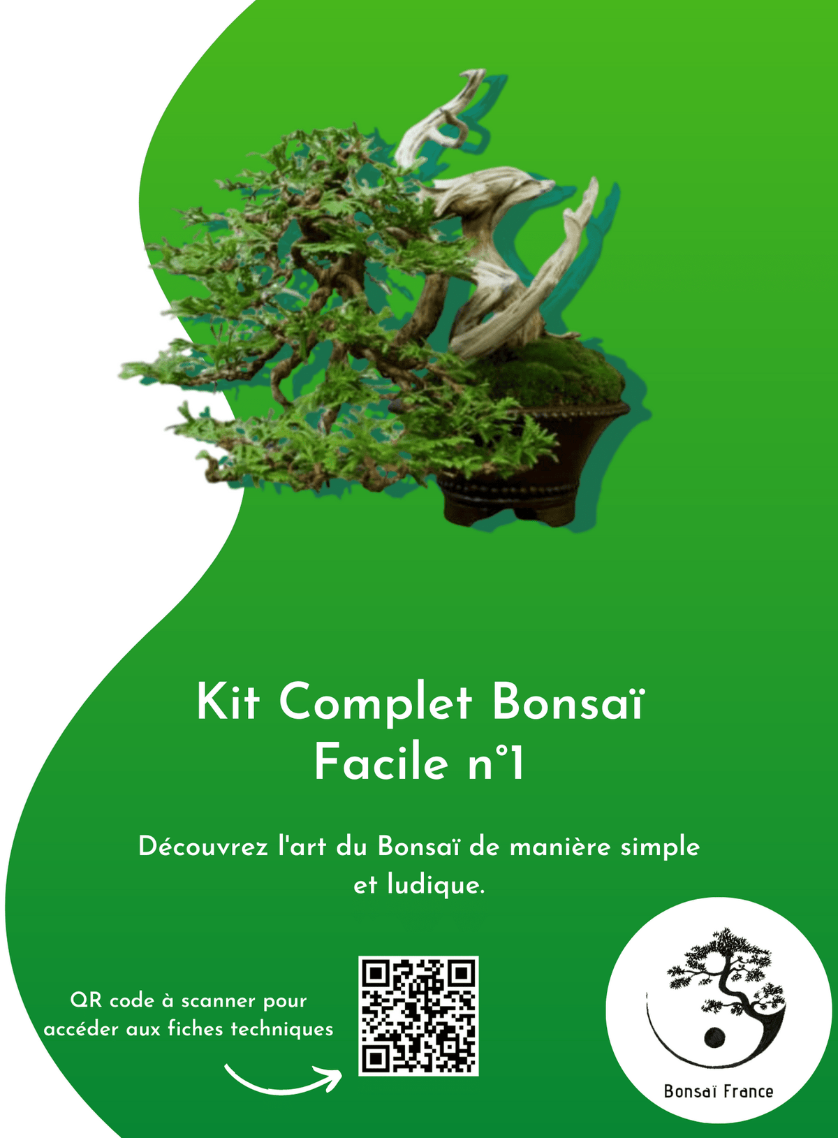 Bonsai techniques 1 pdf