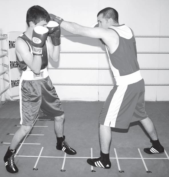 boxing counter drills