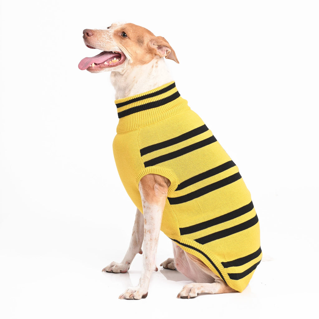 Best Hufflepuff Dog Sweater To Buy