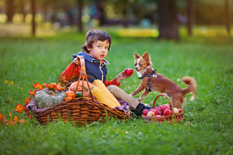 A small dog with boy