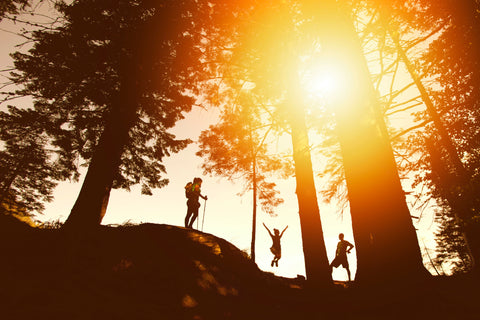 family silhouettes during a hike in Colorado at sunset; the sun is shining through the trees