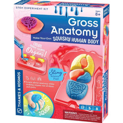 Thames and Kosmos Gross Anatomy Make Your Own Squishy Human Body Science Kit; The Best Valentine's Day Gifts for Kids 2023