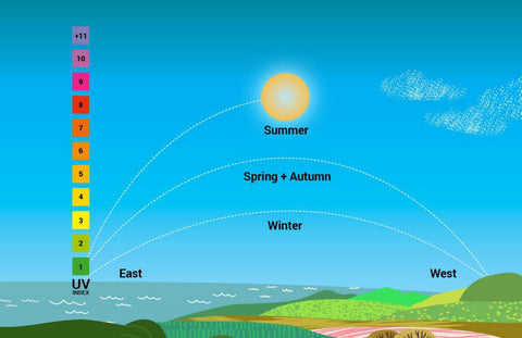 Fakten zur Sonne – Himaya