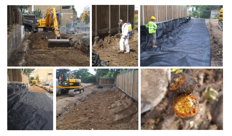 Effective Japanese Knotweed root barrier installation