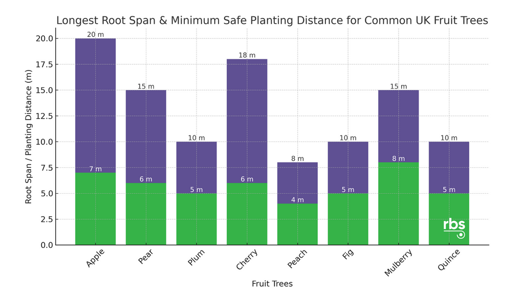 Chart: Tree Root Spread & minimum safe planting For UK Fruit Trees