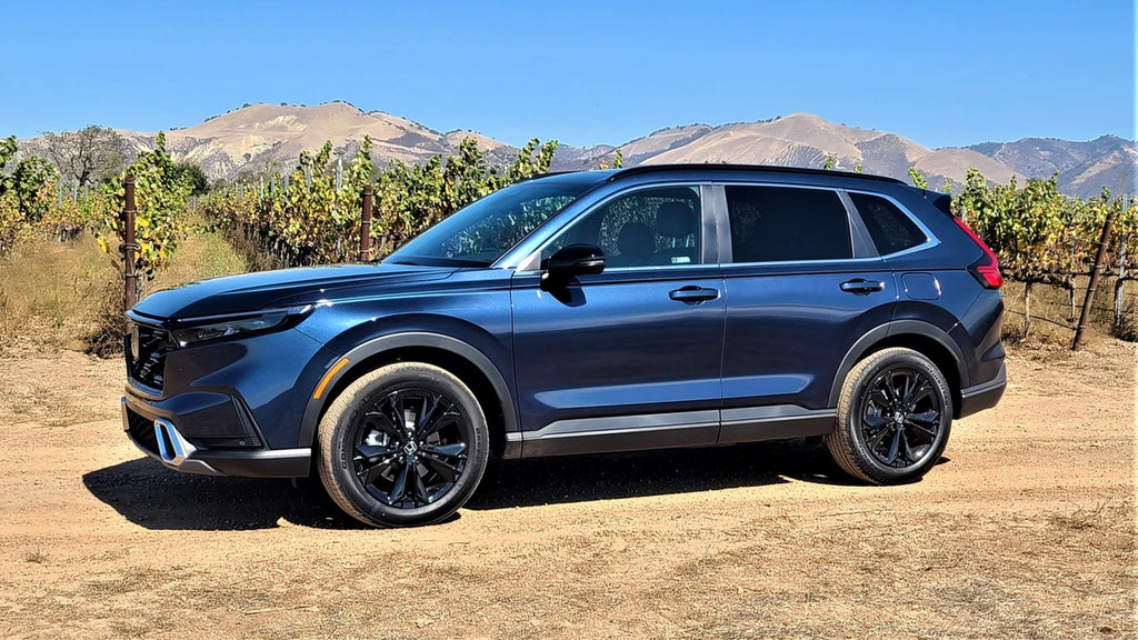 Blue CR-V in desert