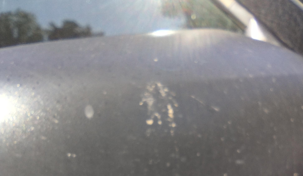 Bird poop on black car mirror