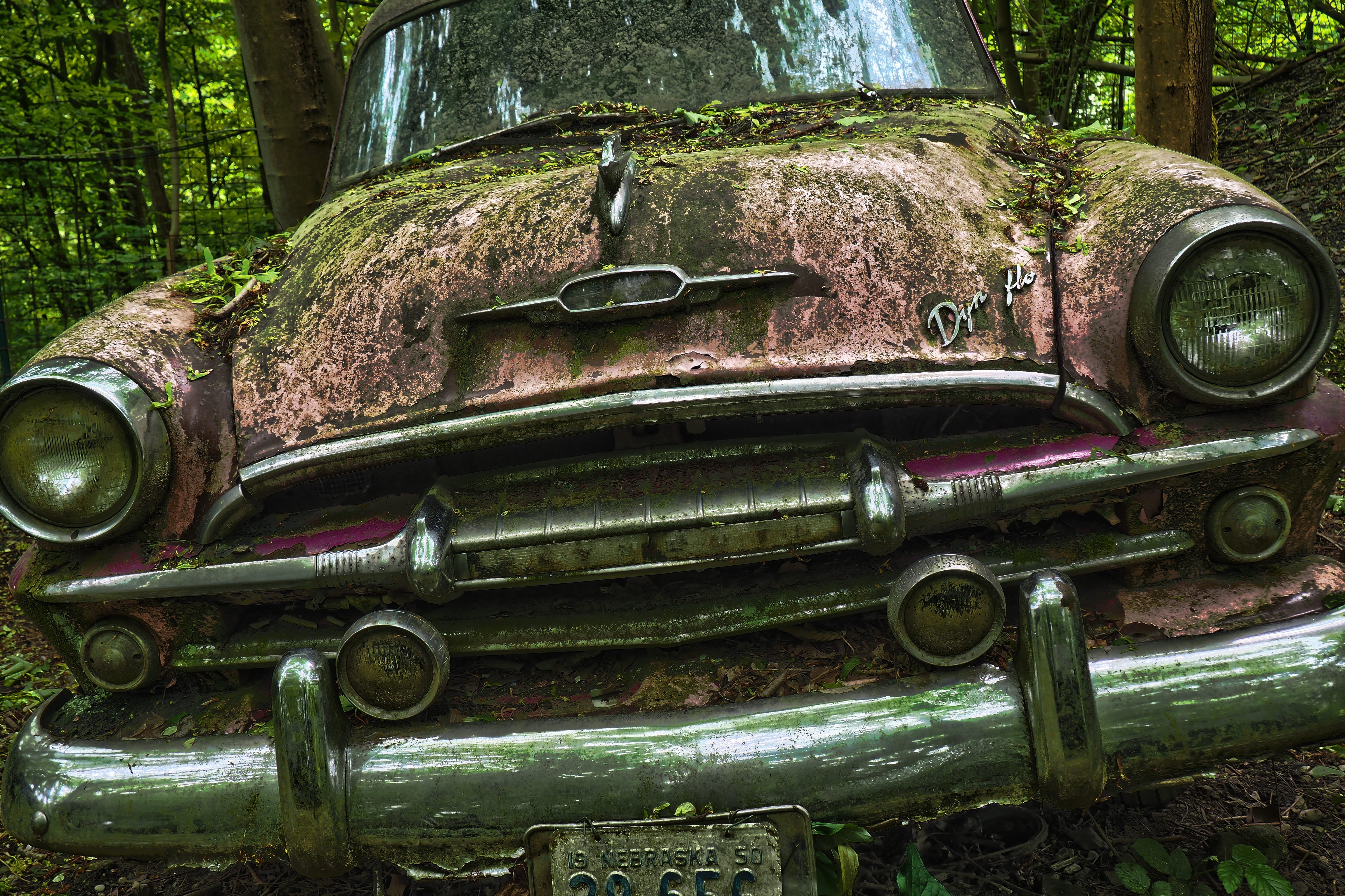 Classic car in the woods covered in sap