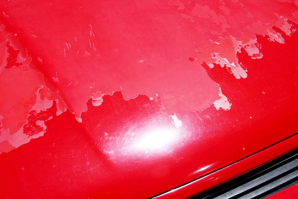 Red Honda Accord Hood with peeled paint and clear coat