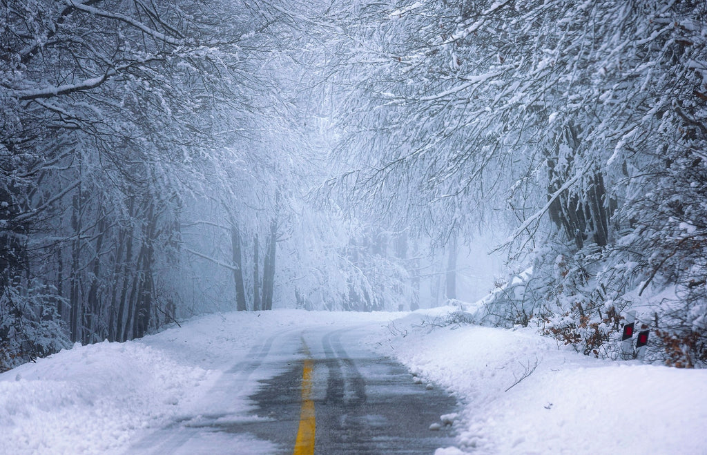 Snow Covered Country Road