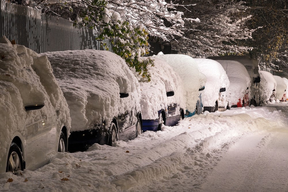 Row of cars covered in snow