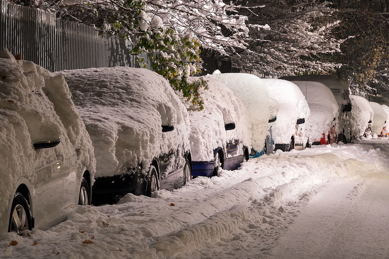 Toyota Corolla, Honda Odyssey, Nissan Rogue, and Ford Escape covered in snow