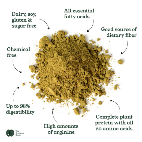 Benefits of NZ Hemp Protein Powder - The Brothers Green