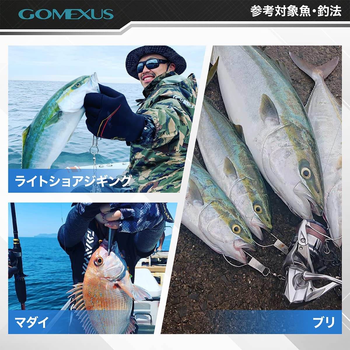 ゴメクサス FA38 対象魚” width=