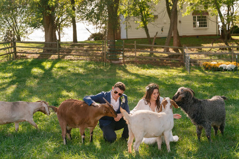 Sara and Jonah's Farm Animal Wedding