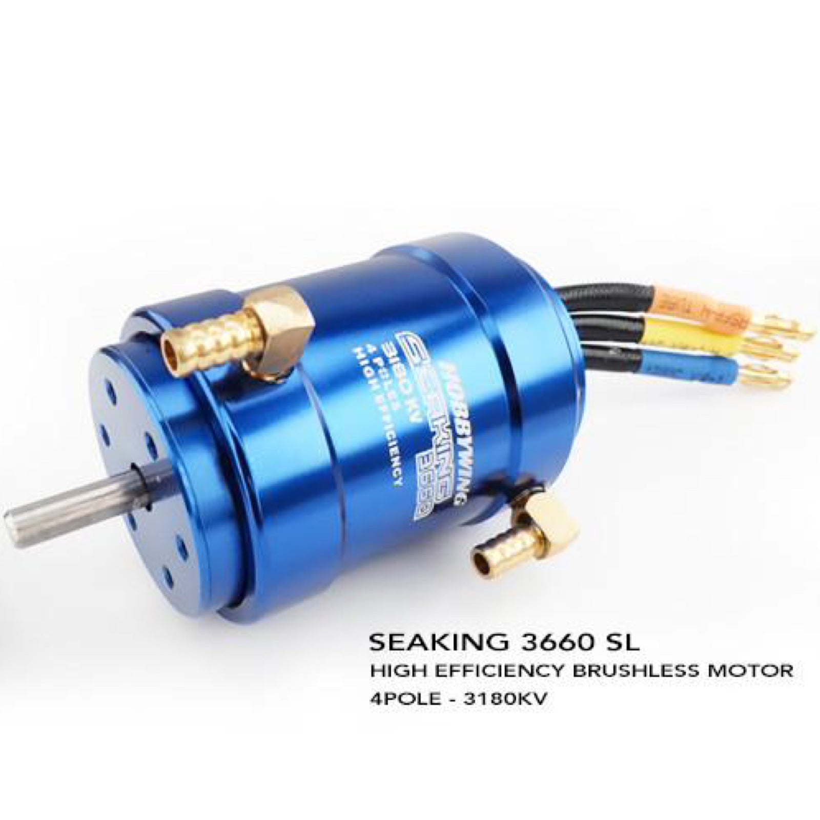 SEAKING 2848 Motor (3900kv) 2S-3S - HOBBYWING North America