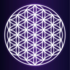 flower of life