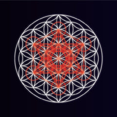 metatrons cube in flower of life