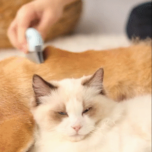 Portable Pet Hair Removal Comb