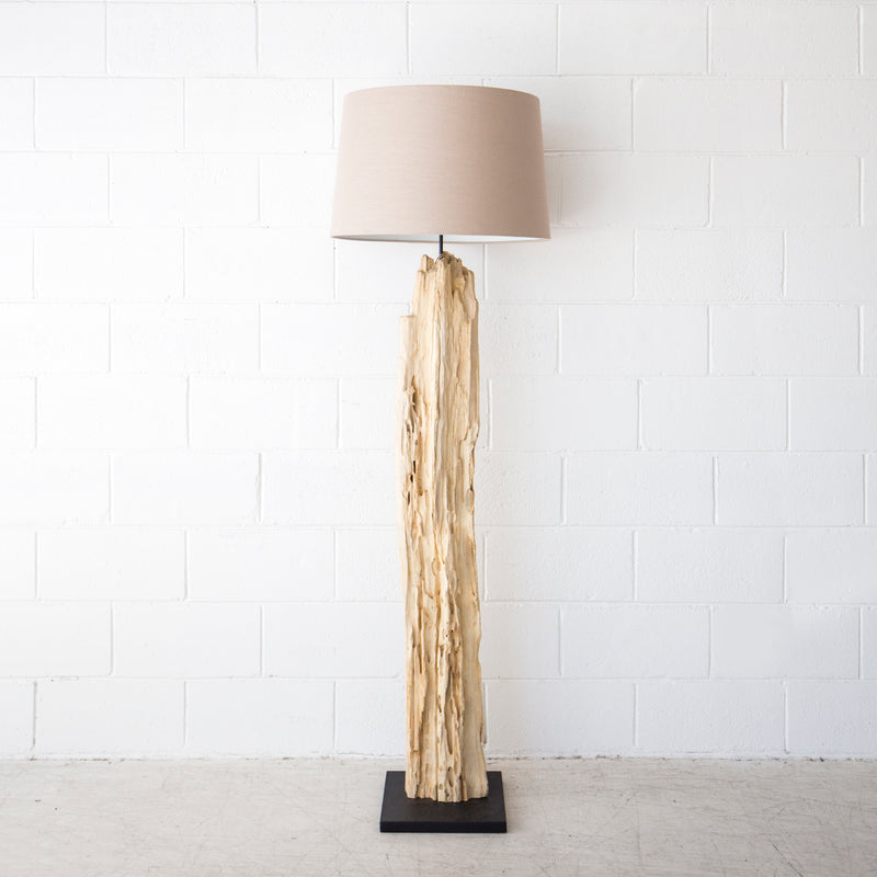 next driftwood lamp