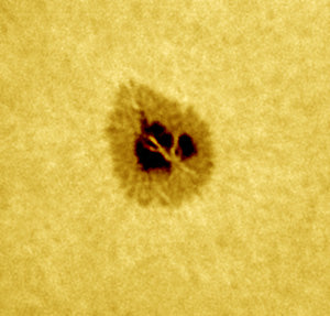 DayStar Quantum 0.4A PE Solar Filter - Sodium D-Line Image 2