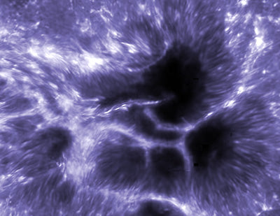 DayStar Quantum 5A PE Solar Filter - Calcium II H-Line Image by Dutch Open Telescope 450 mm aperture telescope Observatorio del Roque de los Muchachos Instituto de Astrofísica de Canarias