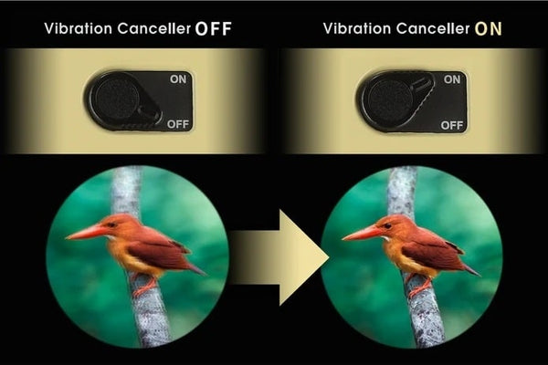 Vixen ATERA H12x30mm Image Stabilized Binoculars Vibration Canceller