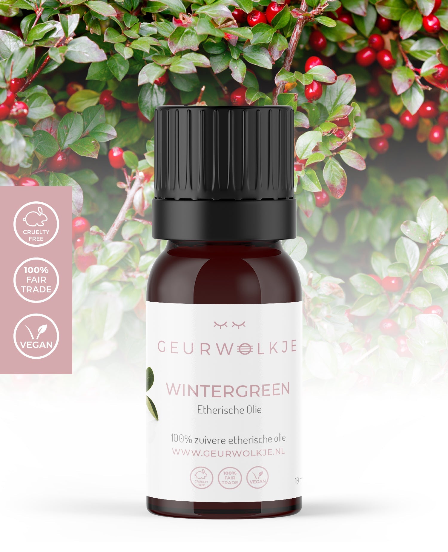 Gom wacht smal Wintergreen - 100% Etherische Olie - 10 ml – Geurwolkje®