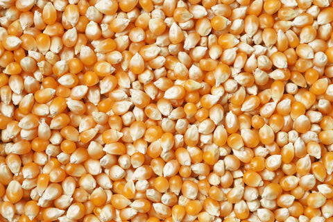 Hydrolized Corn for Hair Repair 