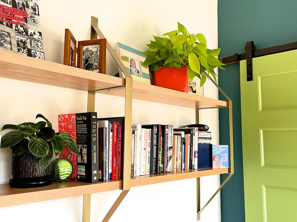 Plants on a wooden shelf in a home office.