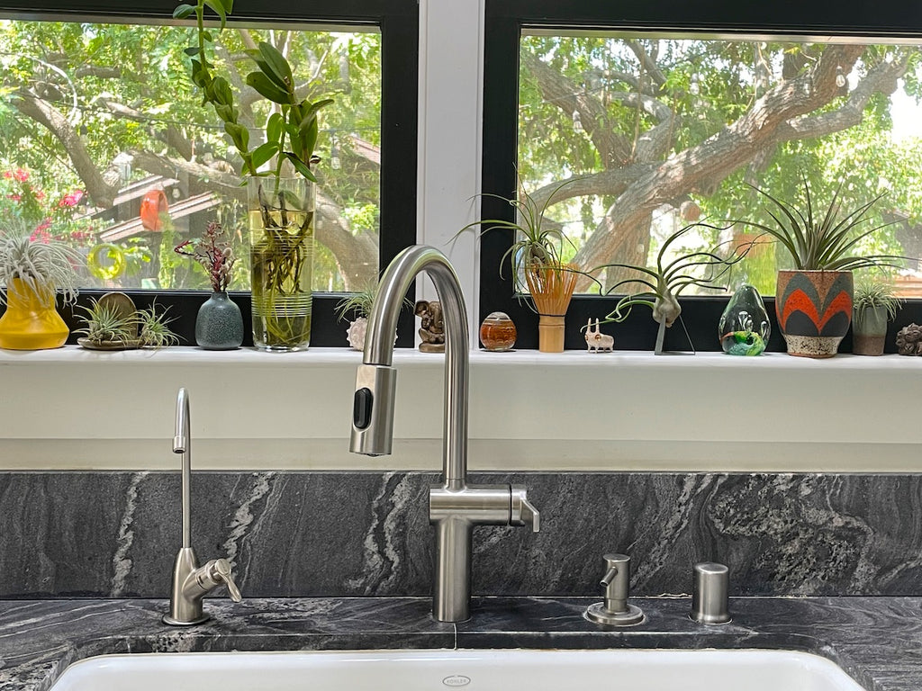 Air plants and plant cutting in a window sill above a kitchen sink.