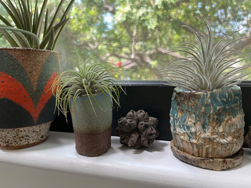 Kat and Roger planter along with a Kim Lesak planter with air plants.